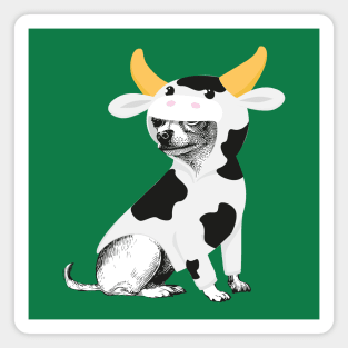 Funny Chihuahua dressed as cow Magnet